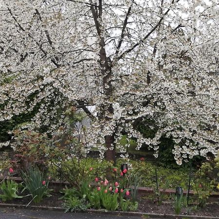 Superbe Maison 3 Chambres 1 Etage Et Sous-Sol, Avec Jardin Et Terrasse 阿尔特基克 外观 照片